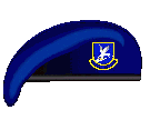 United States Air Force - Security Forces Academy